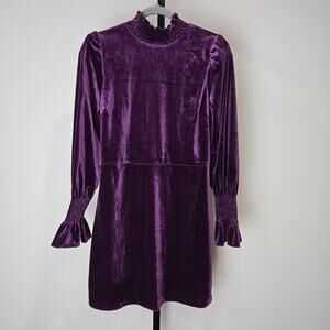 Coast Velvet Long Sleeve High Neck Mini Dress Purple Whimsygoth Holiday Small